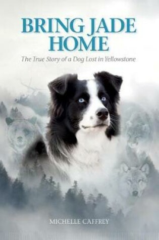 Cover of Bring Jade Home