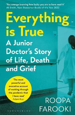 Book cover for Everything is True