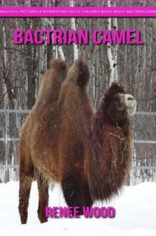 Cover of Bactrian camel