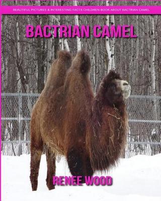 Book cover for Bactrian camel