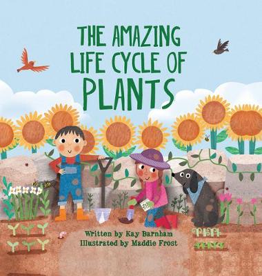 Book cover for The Amazing Life Cycle of Plants