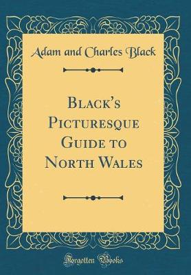 Book cover for Black's Picturesque Guide to North Wales (Classic Reprint)