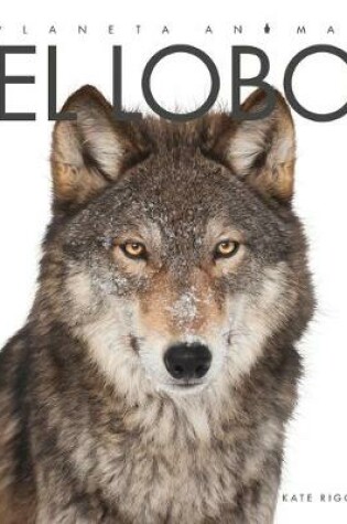 Cover of El Lobo