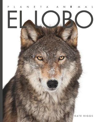 Book cover for El Lobo