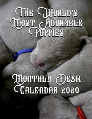 Book cover for The World's Most Adorable Puppies