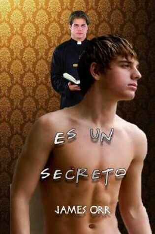 Cover of Es Un Secreto