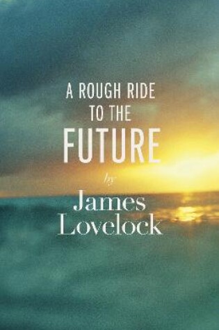 Cover of A Rough Ride to the Future