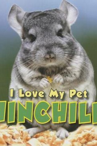 Cover of Chinchilla