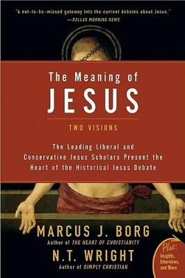 Book cover for The Meaning of Jesus