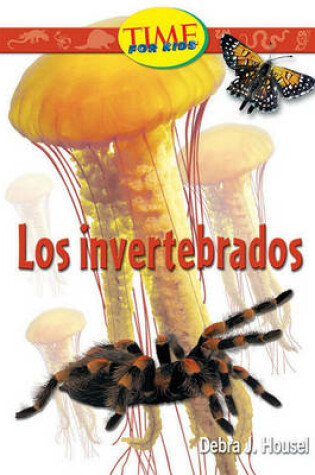 Cover of Los Invertebrados