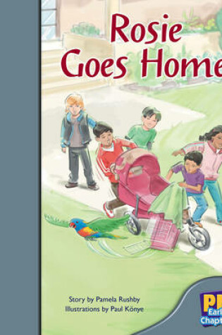 Cover of Rosie Goes Home