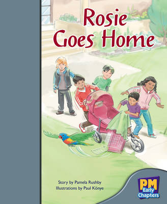 Book cover for Rosie Goes Home