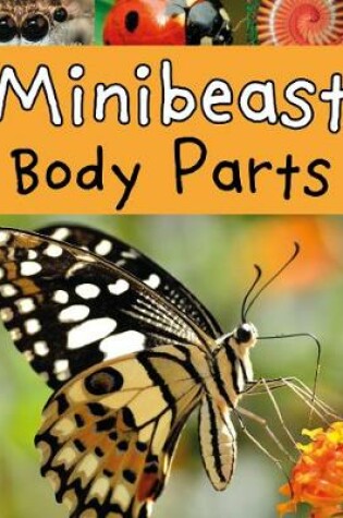 Cover of Minibeast Body Parts