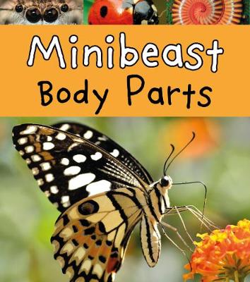 Book cover for Minibeast Body Parts