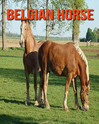 Book cover for Belgian Horse