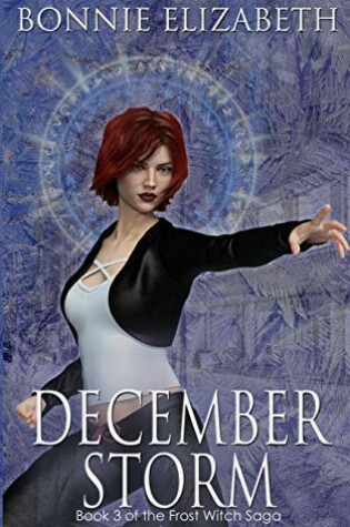Cover of December Storm