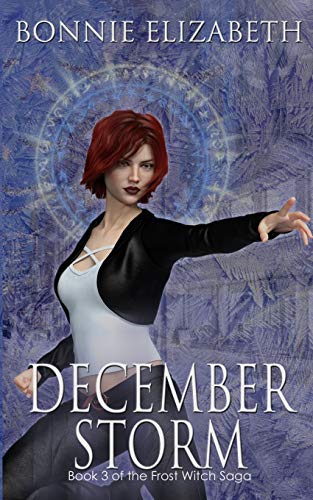 Book cover for December Storm