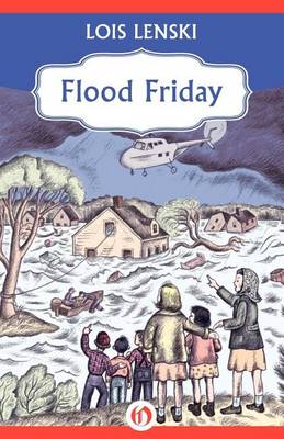Book cover for Flood Friday