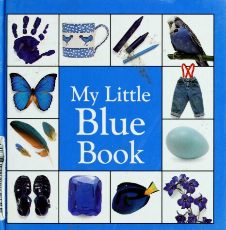 Cover of My Little Blue Book