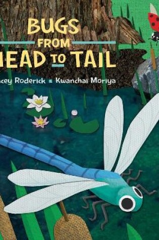 Cover of Bugs From Head to Tail