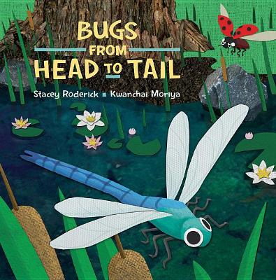 Book cover for Bugs From Head to Tail