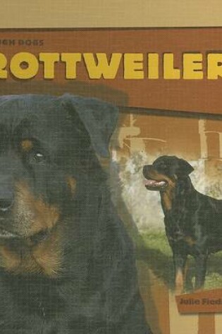 Cover of Rottweilers