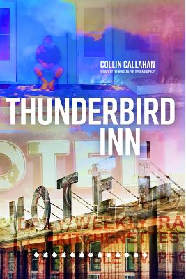 Cover of Thunderbird Inn