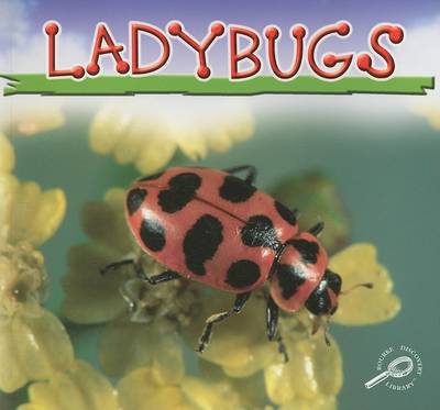 Book cover for Ladybugs