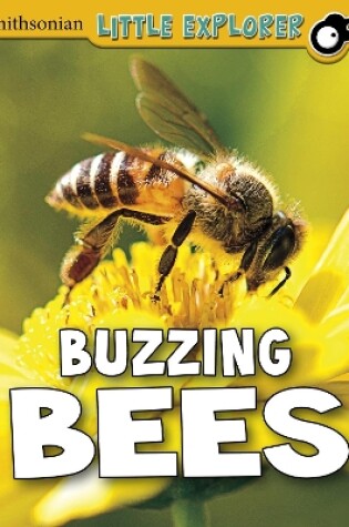 Cover of Buzzing Bees