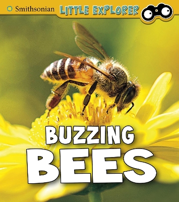 Book cover for Buzzing Bees