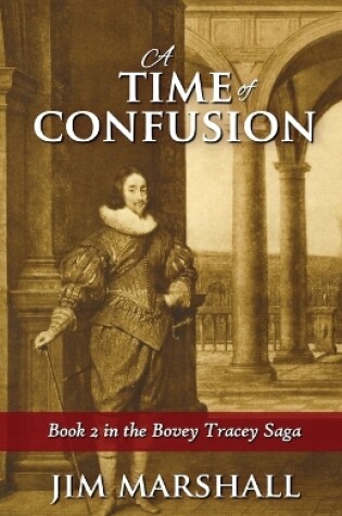 Cover of A Time of Confusion
