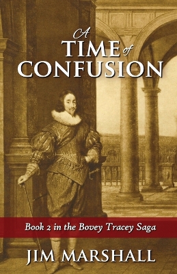 Book cover for A Time of Confusion