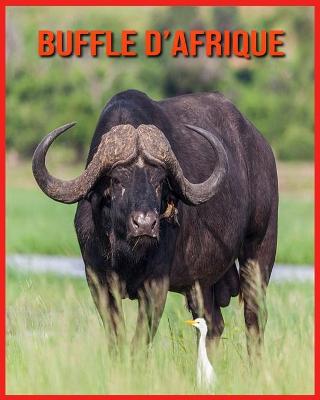 Book cover for Buffle d'Afrique