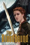 Book cover for The Bloodbound