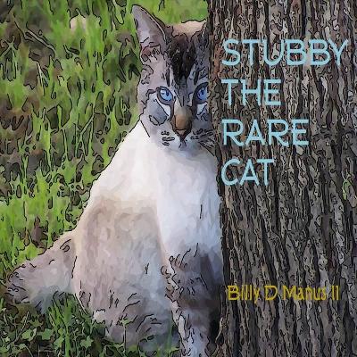 Book cover for Stubby The Rare Cat