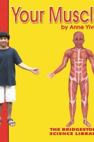 Cover of Your Muscles