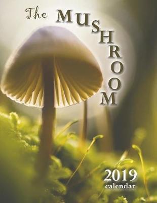 Book cover for The Mushroom 2019 Calendar