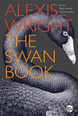 Book cover for The Swan Book