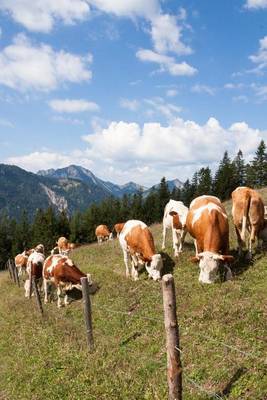 Book cover for Cows Grazing in a Mountain Meadow Journal