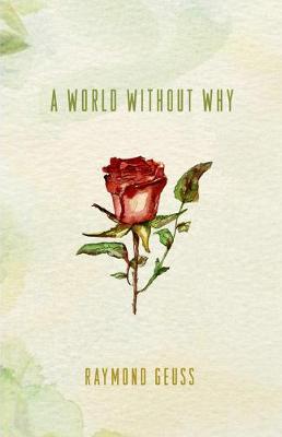 Book cover for A World without Why