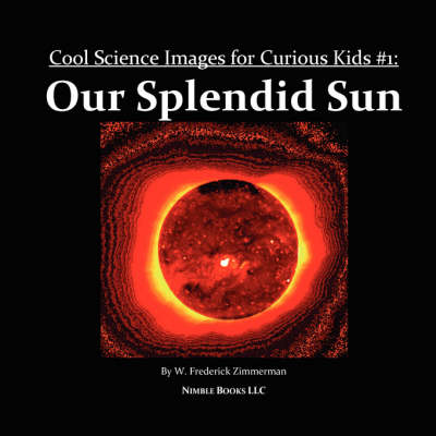 Book cover for Our Splendid Sun