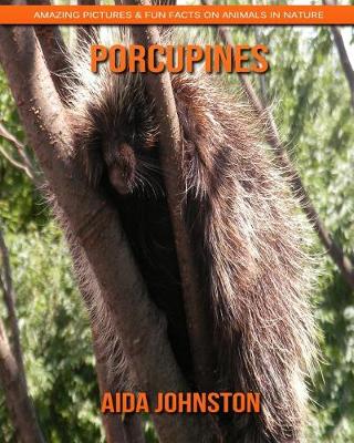 Book cover for Porcupines