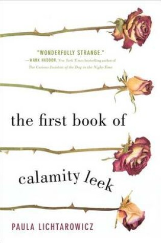 Cover of The First Book of Calamity Leek