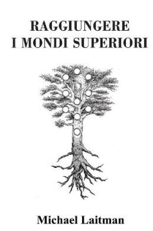 Cover of Raggiungere i Mondi Superiori