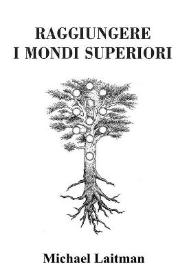 Book cover for Raggiungere i Mondi Superiori