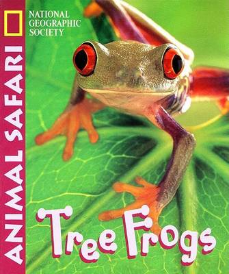 Cover of Animal Safari