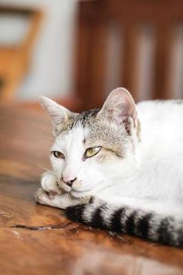 Book cover for Notebook - Relaxed Cat