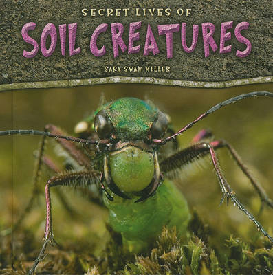 Book cover for Secret Lives of Soil Creatures