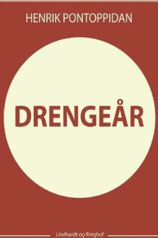 Cover of Drengeår