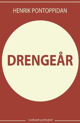 Book cover for Drenge�r